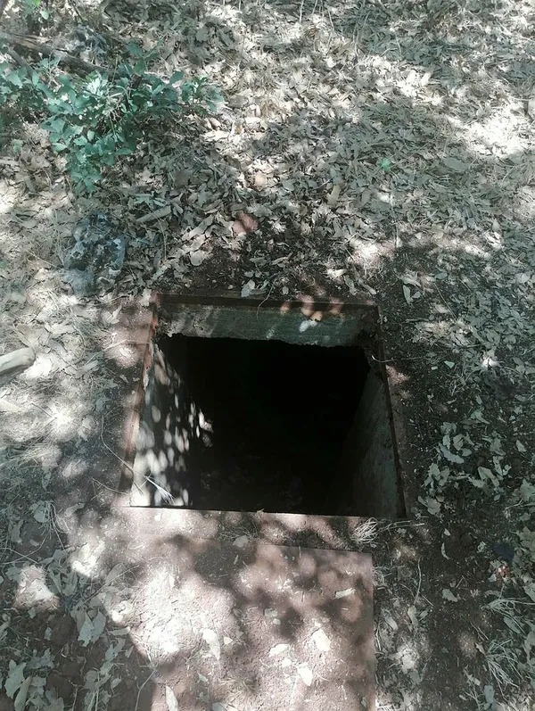 diyarbakirda-narko-teror-operasyonu-uyusturucu-muhimmat-ve-el-yapimi-patlayici-ele-gecirildi-1623780475327.jpg Diyarbakır'da narko terör operasyonu: Uyuşturucu, mühimmat ve el yapımı patlayıcı ele geçirildi-2