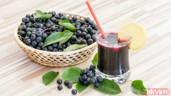 Süper meyveyle tanışın! Bilimsel olarak kanıtlanan aronya antibiyotik etkisiyle bağışıklığı güçlendiriyor - 5