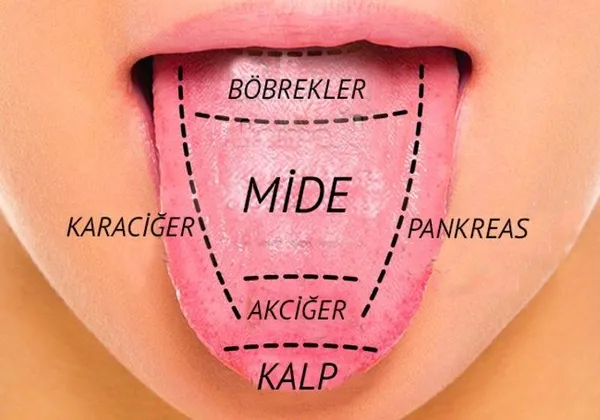 Dildeki beyazlık hastalık habercisi olabilir-2