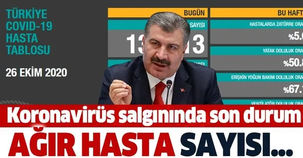 Koronavirüste son durum