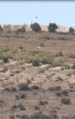 Afrin'de sıcak gelişme! O bayraklar indirildi