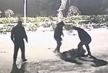 Yalova'da 4 kişinin saldırıya uğrayan genç yaşam mücadelesi veriyor!