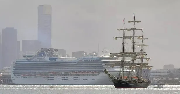 Japonya'da koronavirüs paniği! Bir yolcu gemisi daha karantinaya alındı