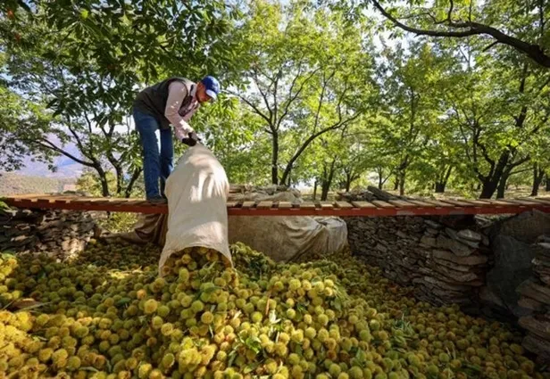 bu-isi-yapmak-her-yigidin-harci-degil-600-tlye-kadar-yevmiyesi-var-gunde-en-az-250-tl-verilecek-1635157761567.jpg Bu işi yapmak her yiğidin harcı değil! 600 TL'ye kadar yevmiyesi var! Günde en az 250 TL verilecek-6