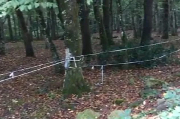 Belgrad Ormanı’nda 'Kaşıkçı' araması