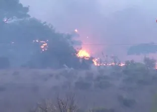 Muğla’da orman yangını!