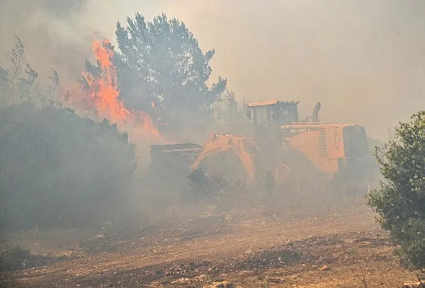 İzmir Aliağa ve Menderes'te çıkan orman yangınları kontrol altına alındı-2