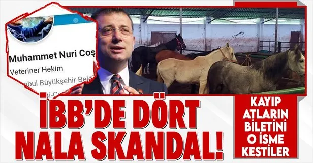 İBB’nin kayıp at skandalında flaş gelişme! Şube Müdürü Muhammet Nuri Coşkun görevinden alındı