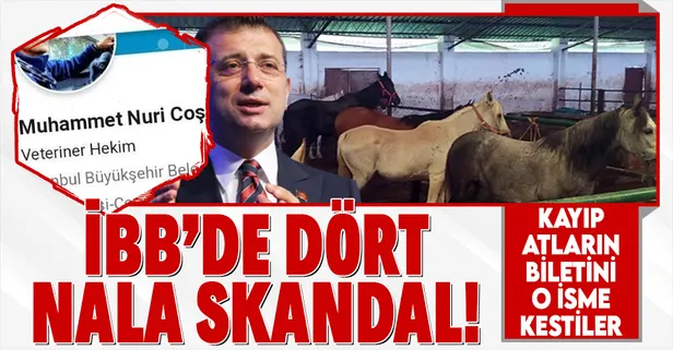 İBB'nin "kayıp at" skandalında flaş gelişme! Şube Müdürü Muhammet Nuri Coşkun görevinden alındı