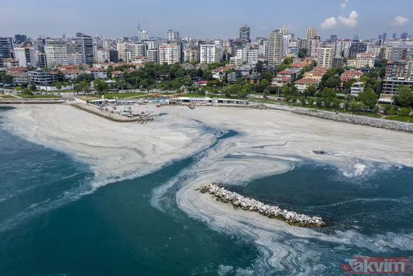 SON DAKİKA: Marmara Denizi için büyük tehlike! Deniz hala soğumadı müsilaj tehlikesi devam ediyor - 16
