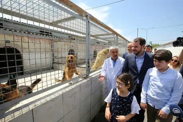 Bakan Albayrak'tan yavru köpeğe işkence açıklaması-3