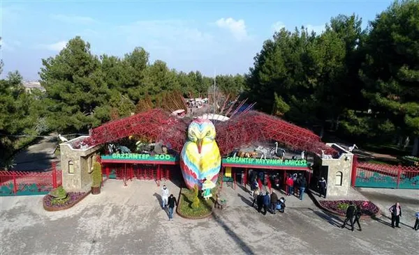 Cumhurbaşkanı Erdoğan'a hediye edilen aslan yavruları için hazırlıklar başladı-2