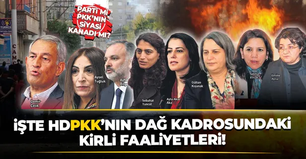 HDP’lilerin dağ kadrosundaki kirli faaliyetleri ortaya çıktı!