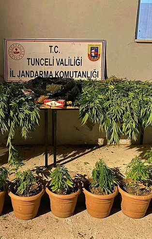 Tunceli'de uyuşturucu operasyonu!