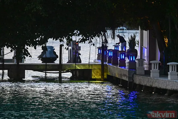 Hollywood’dan İngiliz Kraliyet Ailesi’ne küresel elitlerin pedofili sapkınlığı deşifre oldu! Rapçi Diddy’nin çılgın partilerinden sorgu odasına: 100’den fazla isim açığa çıktı - 18