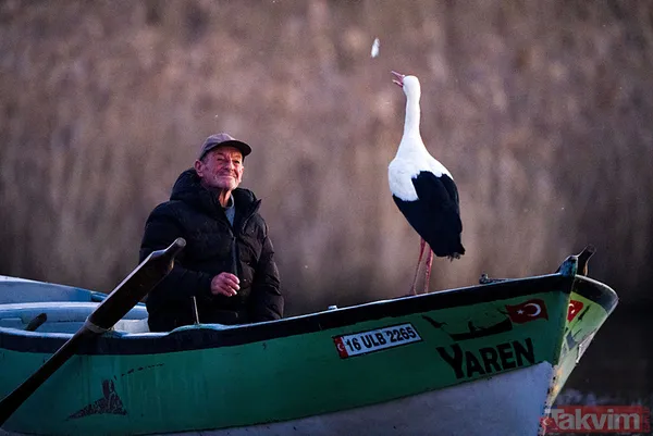 Yaren Leylek geldi: 14 yıl oldu! Yine Adem Yılmaz'ın kayığına kondu - 1
