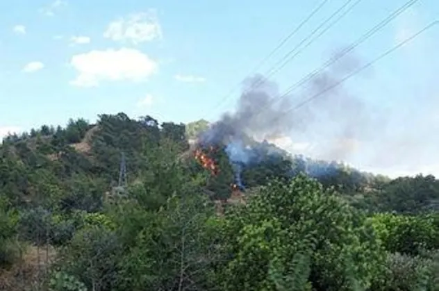 Muğla Dalaman'da orman yangını!