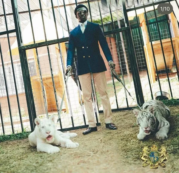 Lütfü Savaş trollendi: 'Afrika prensi' diye ağırladığı kişi gece kulübü işletmecisi ve müteahhit çıktı!-3