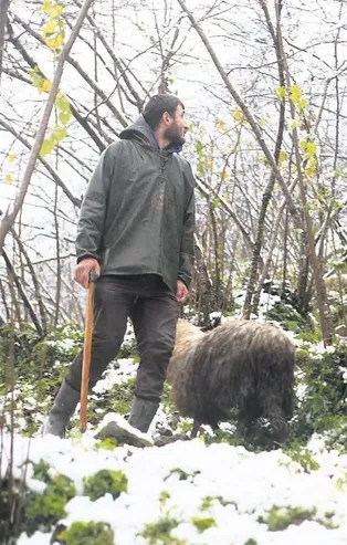Muhafız