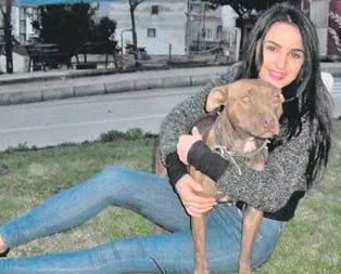 Köpek şakası!