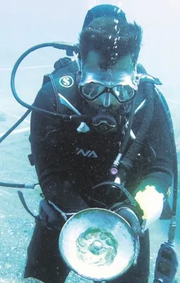 900 yıllık tabak takımı