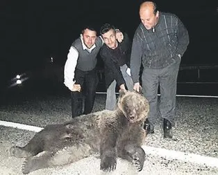 Yolda ayılı fotoğraf
