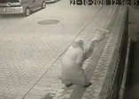 Şehit Esma Çevik'in Sultangazi'deki babaevine asılan şanlı Türk bayrağına çirkin saldırı