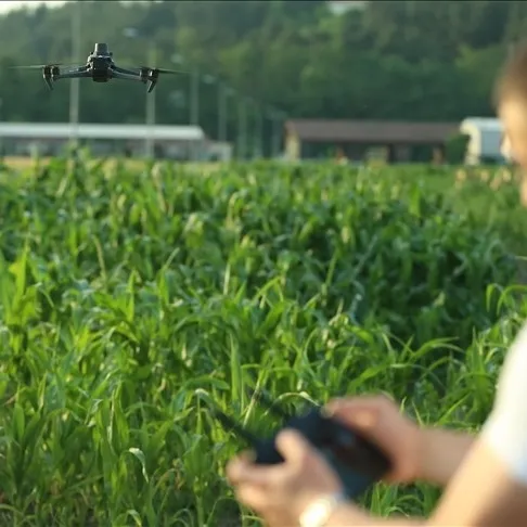 Yapay zeka ile tarım analizi