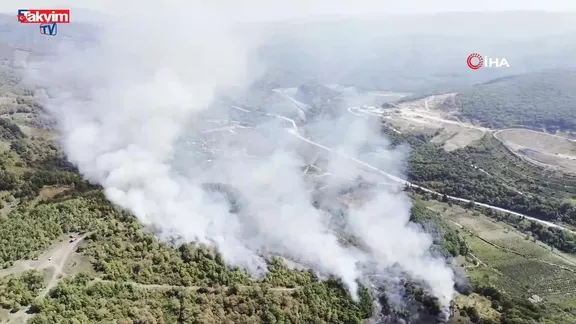 Düzce’de orman yangını