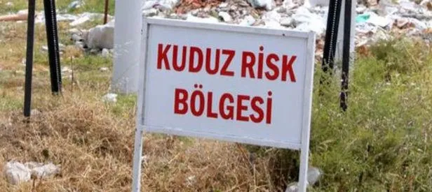 Denizli'de 5 mahallede kuduz karantinası