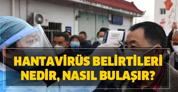 Hantavirüs nedir? Hantavirüs belirtileri nedir, nasıl bulaşır?