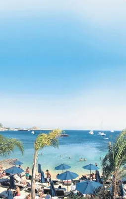 Beyaz Türkler çıldırdı