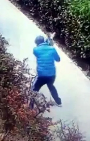 Son dakika: İstanbul Küçükçekmece'de bir şahıs kediyi yerden yere vurdu!