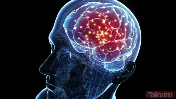 Bu besinler beyin gelişimini destekliyor! İşte iyi gelen o besinlerin listesi... - 1