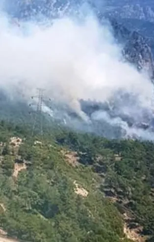 Antalya'da orman yangını