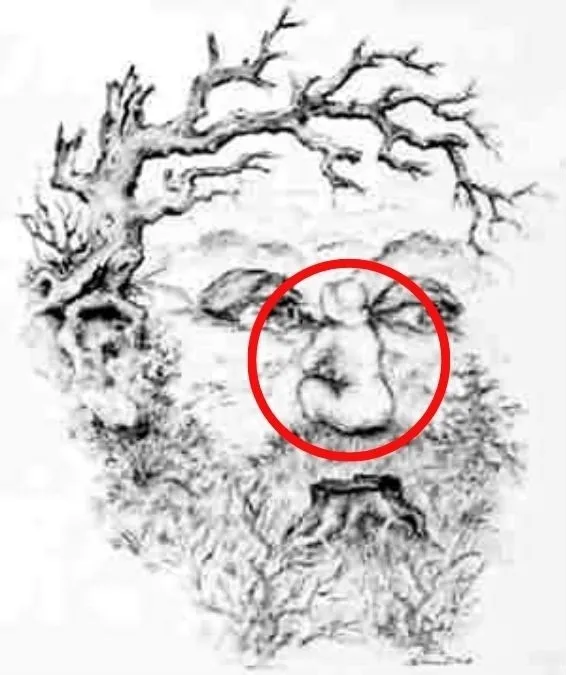 adamin-suretinde-saklanan-kizi-sadece-iqsu-yuksek-olanlar-8-saniyede-buluyor-1696577558146.jpg Adamın suretindeki saklanan kızı bulabilir misin? Sadece IQ'su yüksek olanlar 8 saniyede buluyor-5