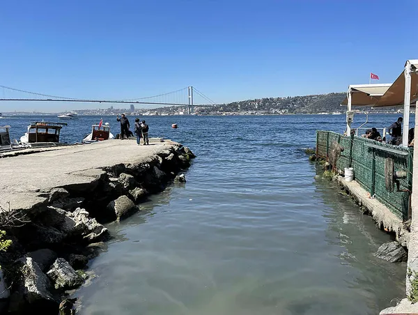 İstanbul Boğazı'na zehir akıyor İBB seyrediyor! Vatandaş Bekar Deresi'ndeki kirliliğe ve kötü kokuya isyan etti-3