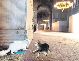 Gli’ye beyaz Kılıç