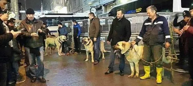 Hollanda'ya kangallı protesto