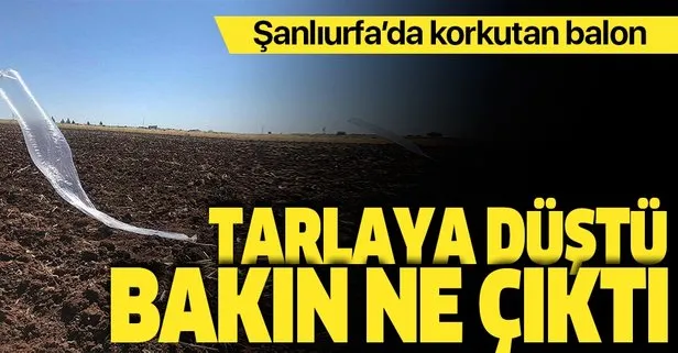 Şanlıurfa'da tarlaya düşen balondan çıkan şey şok etti