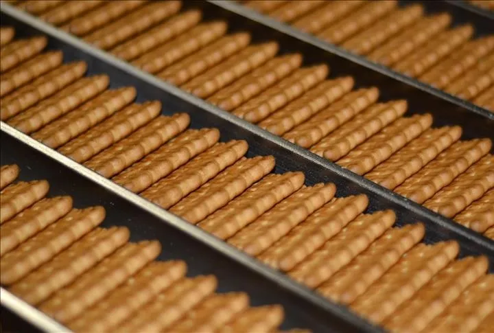 2024 cirosu 84.1 milyar TL