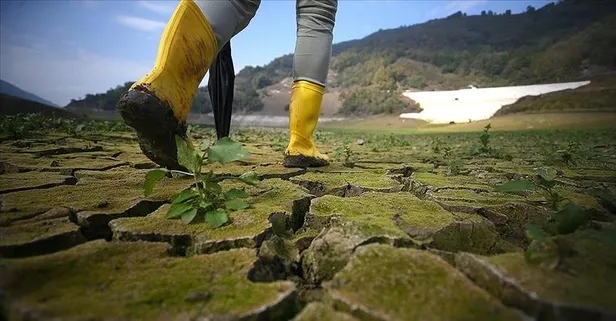 Türkiye ve AB şehirleri, iklim değişikliği alanında ortak projeler geliştirecek