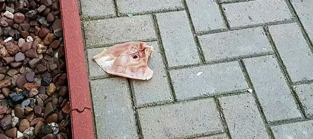 Almanya'da camiye çirkin saldırı