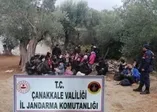 Çanakkale'de 201 mülteci yakalandı