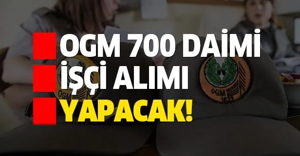 OGM 700 daimi işçi alımı yapıyor! Orman Genel Müdürlüğü hangi alanlara işçi alımı yapacak?