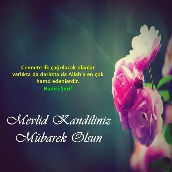kandil-mesajlari-resimli-en-guzel-anlamli-kisa-duali-hadisli-mevlid-kandili-mesajlari-ve-sozleri-1726292766196.jpeg
