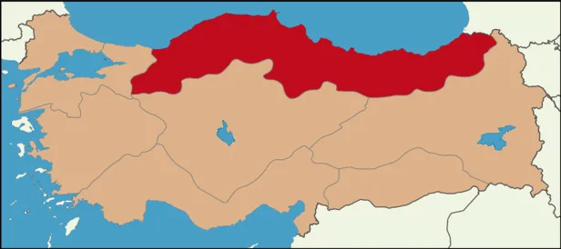 gurcistandan-samsuna-kadar-yayildi-karadenizi-ele-gecirdiler-baskanlardan-acil-eylem-uyarisi-giresun-rize-artv-1696510733282.png 3 ilin başkanı alarma geçti! Samsun, Giresun, Rize, Artvin, Ordu, Trabzon'da yaşayan herkesi ilgilendiriyor! " 30 km boyunca..."-6