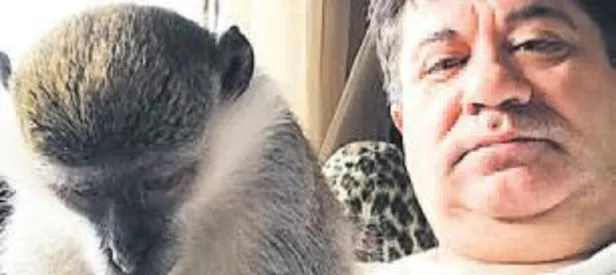 Devlet Ciguli’ye el koydu