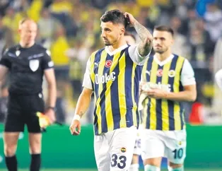 Mühendislik faciası