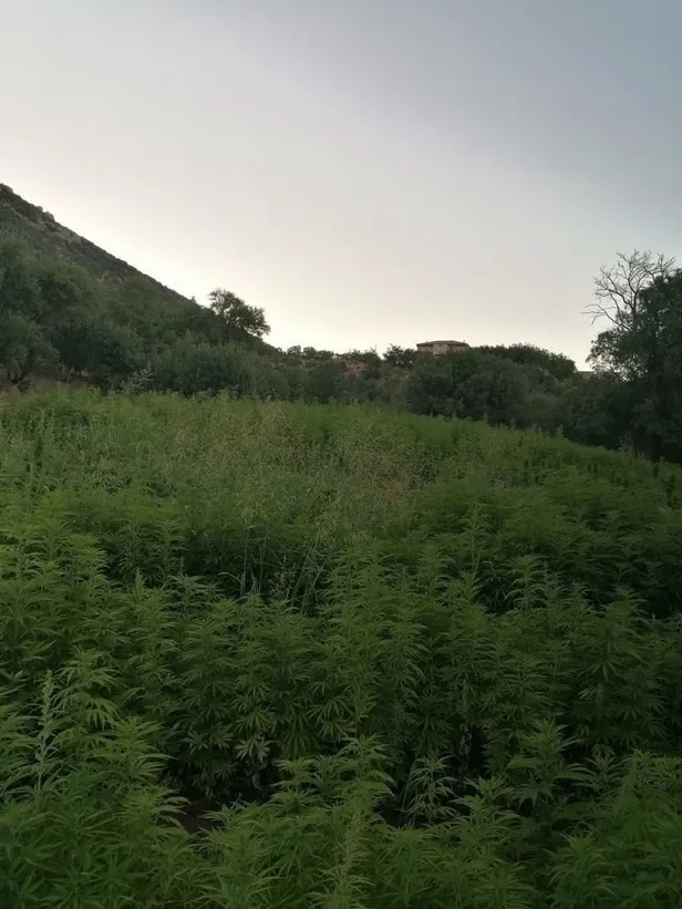pkknin-para-kaynagina-darbe-diyarbakirda-eren-abluka-23-operasyonu-basladi-1658398288343.jpeg PKK'nın para kaynağına darbe! Diyarbakır'da Eren Abluka-23 operasyonu başladı-1